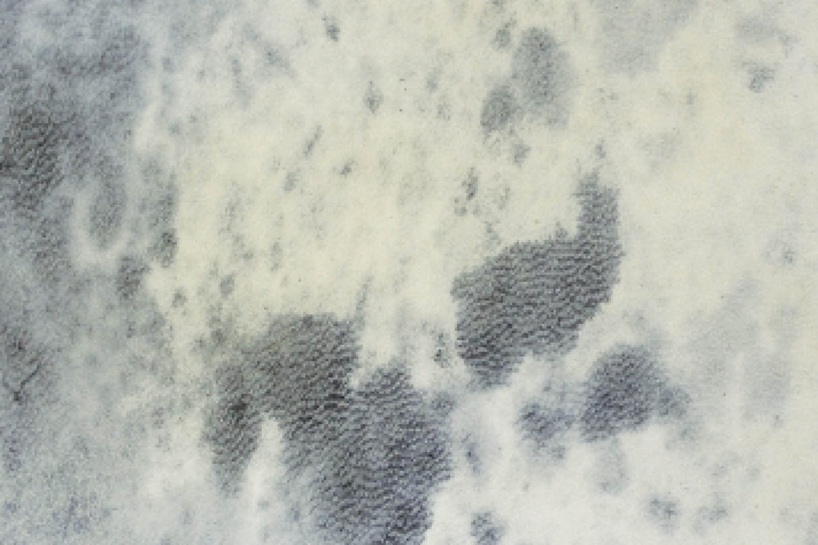 Parchment Light Grey Parchment finish sample