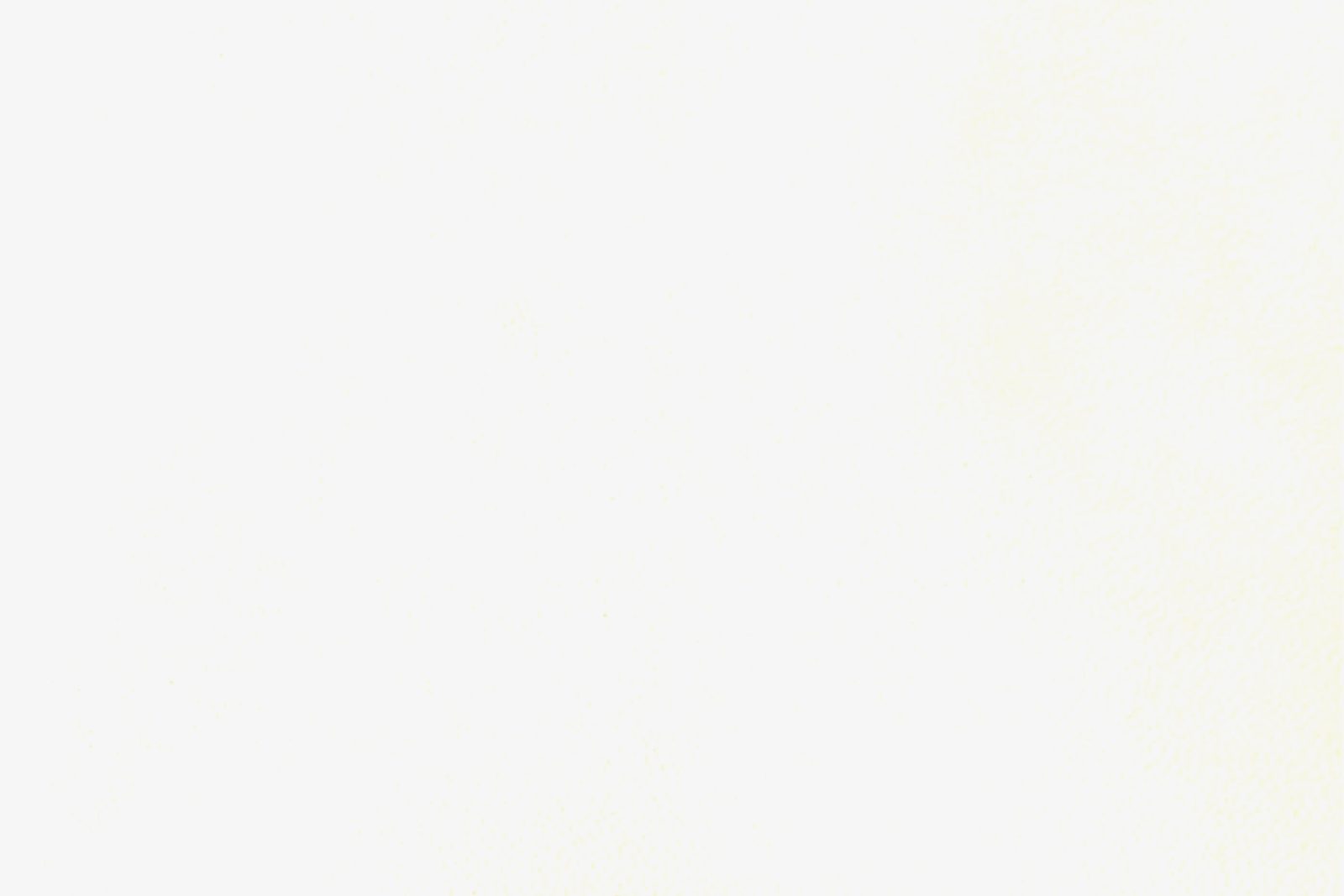 Parchment White Parchment finish sample